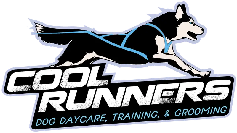 Cool Runners Dog Daycare, Training, and Grooming preview