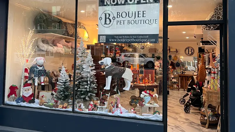 Boujee Pet Boutique preview