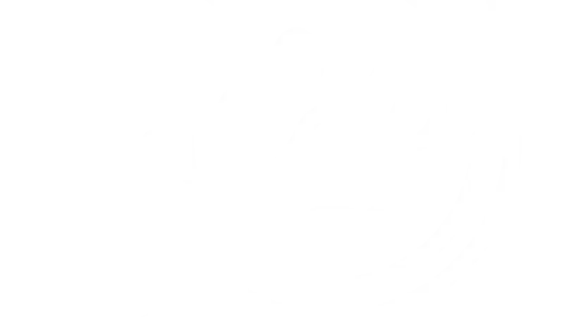 LazyPaw Animal Hospitals preview