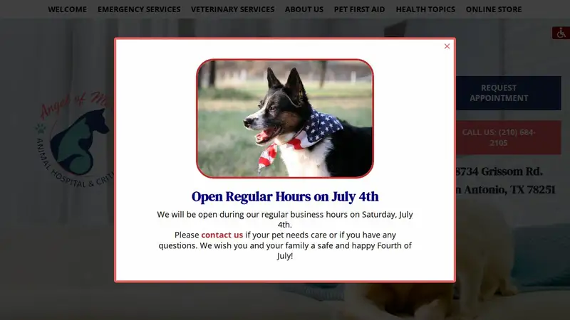 Angel Of Mercy Animal Critical Care preview