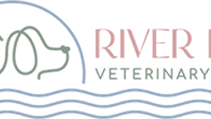 River Road Veterinary Hospital preview