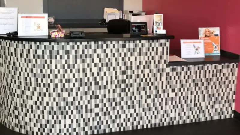 Dogtopia of Westchase preview