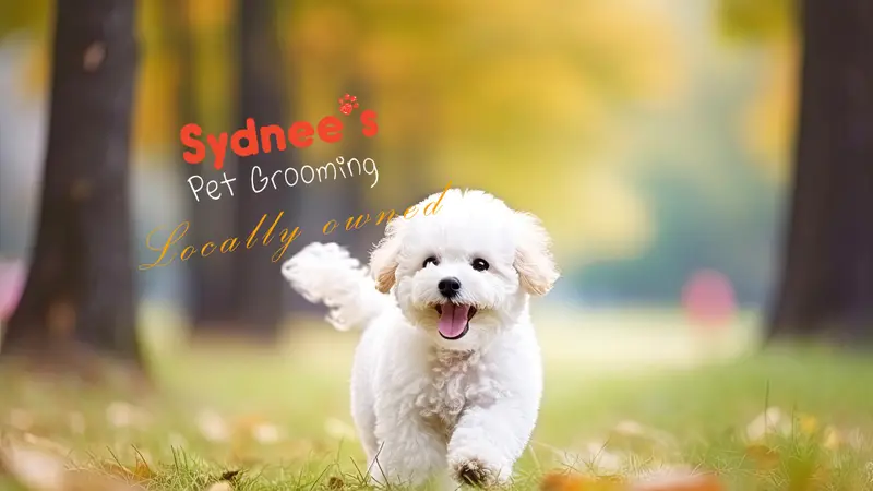 Ultimate Pet Grooming preview