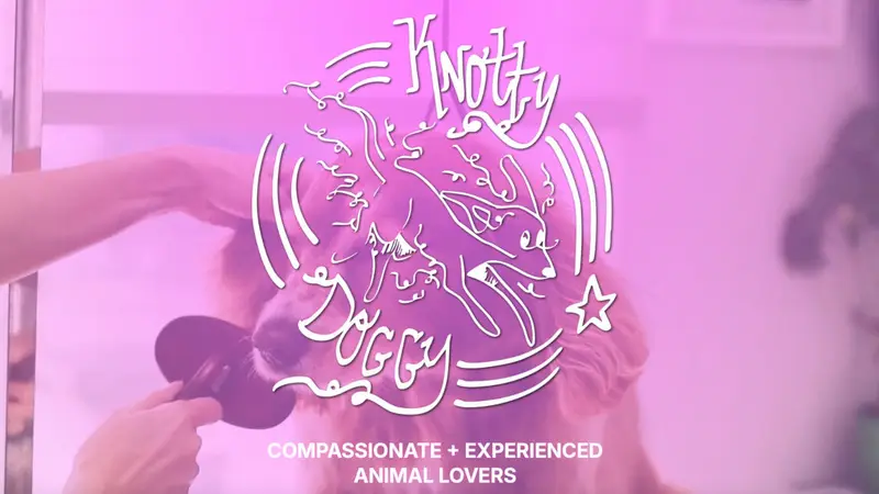 Knotty Doggy Bath House preview