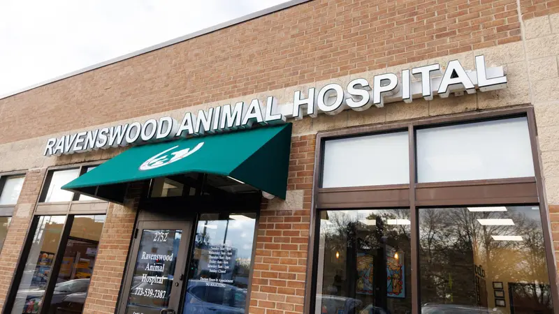 Ravenswood Animal Hospital LLC preview