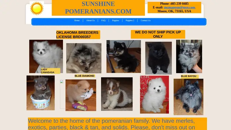 Sunshine Pomeranians preview