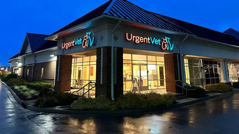 Urgent Vet preview