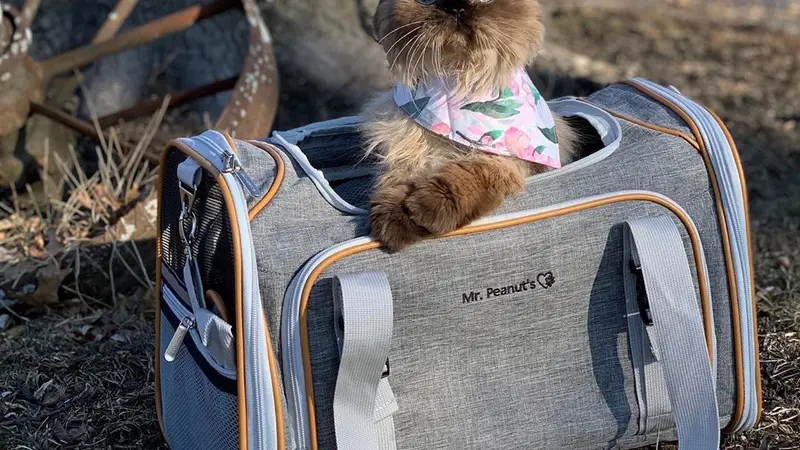 Mr. Peanut's Pet Carriers preview