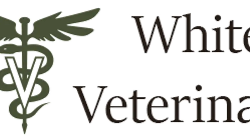 White Oaks Veterinary Clinic preview