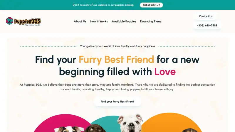 Puppies 305 preview