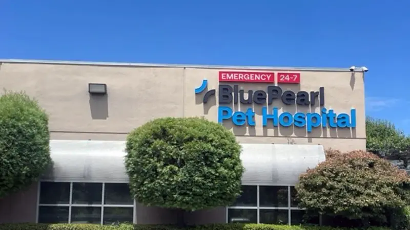 BluePearl Pet Hospital preview