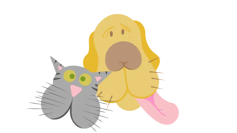 Healthy Paws Animal Hospital preview