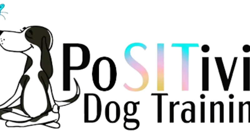 Positivity Dog Training LLC preview