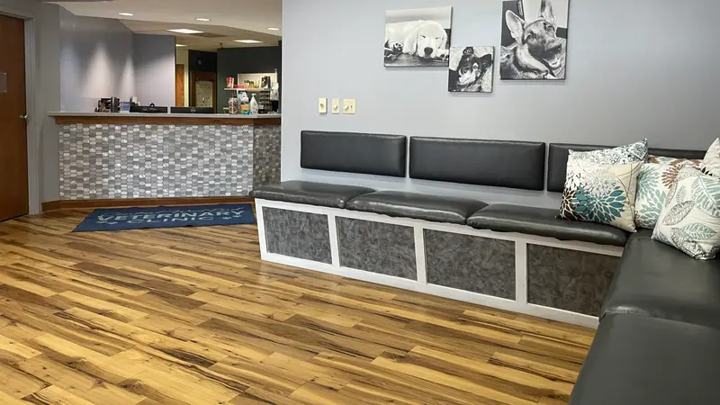 Central West End Veterinary Hospital preview