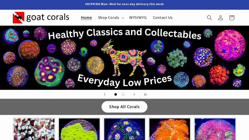 Goat Corals preview