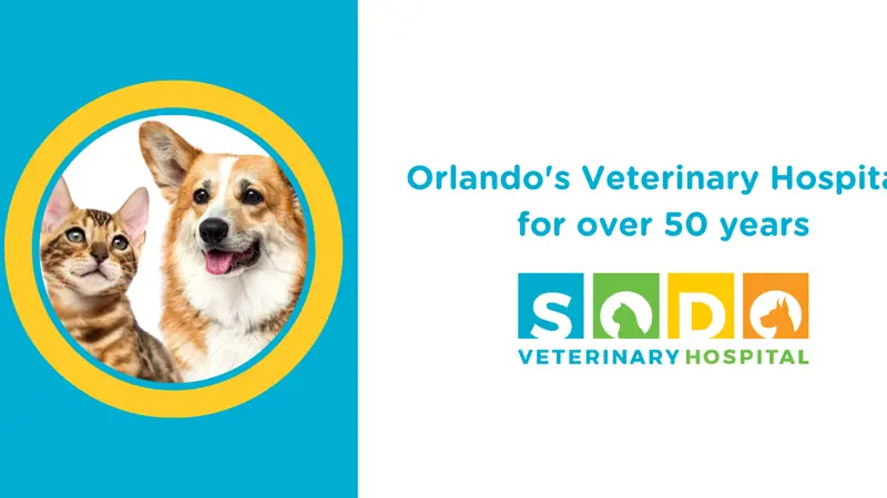 SODO Veterinary Hospital preview
