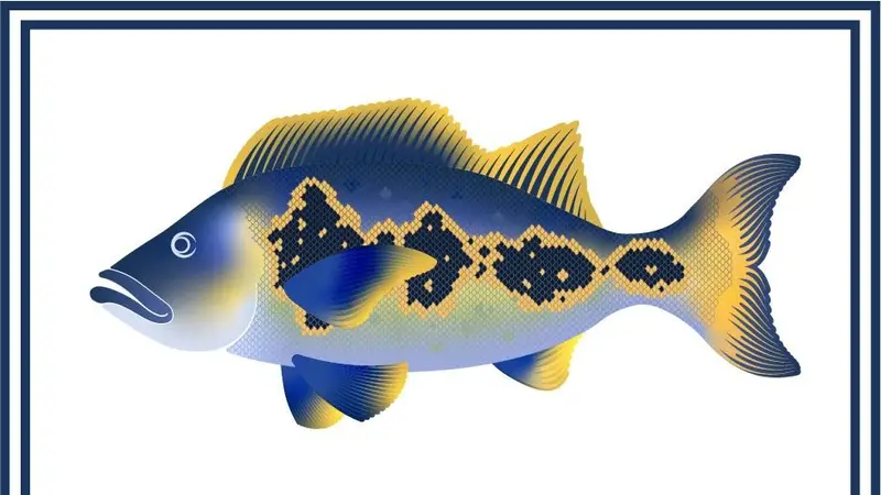 Capital Exotic Fish preview