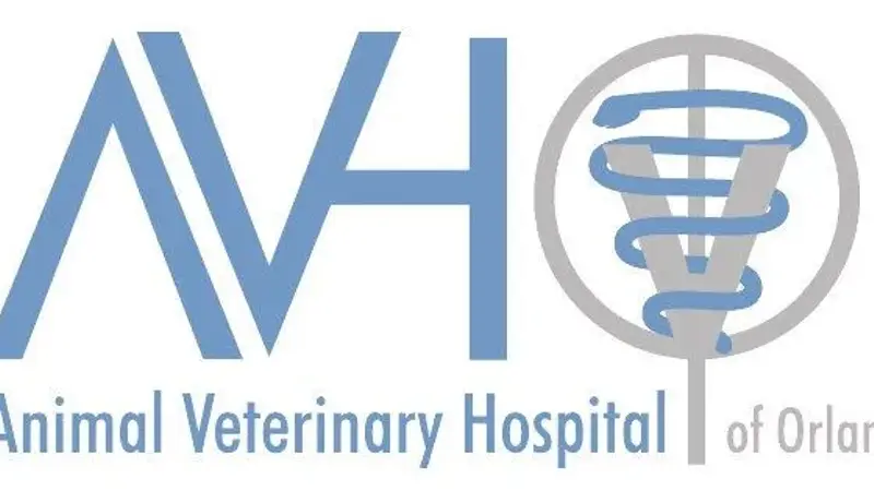 Animal Veterinary Hospital of Orlando preview