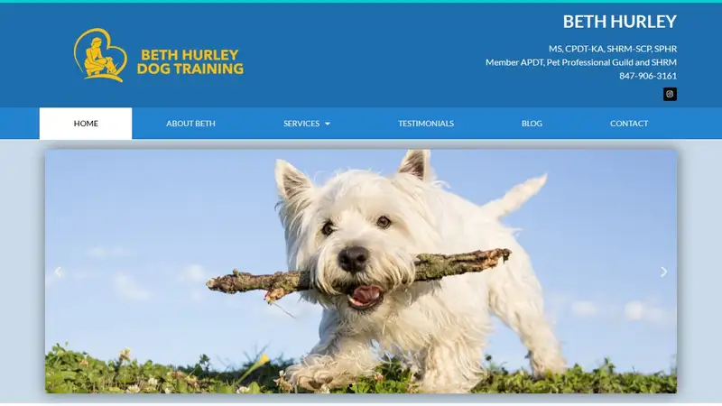 Beth Hurley Dog Training preview