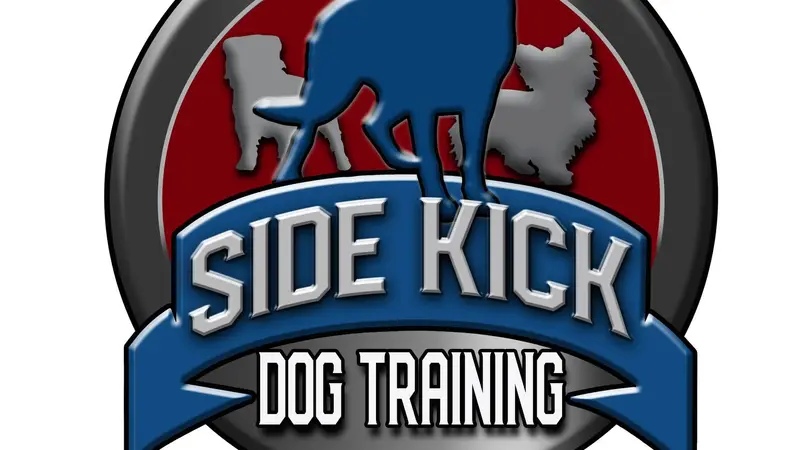 Springfield Side Kick Dog Training preview