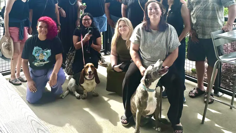 Kate's Critter Care preview