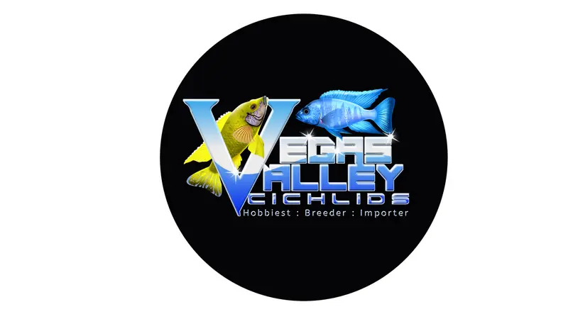 Vegas Valley Cichlids preview