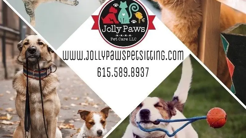 Jolly Paws Pet Care Llc preview