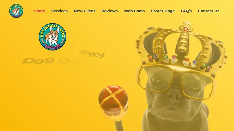 Hot Diggity Dog Daycare preview