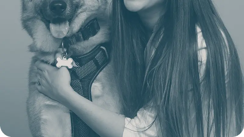CityVet | Edmond Veterinary Clinic & Urgent Care preview