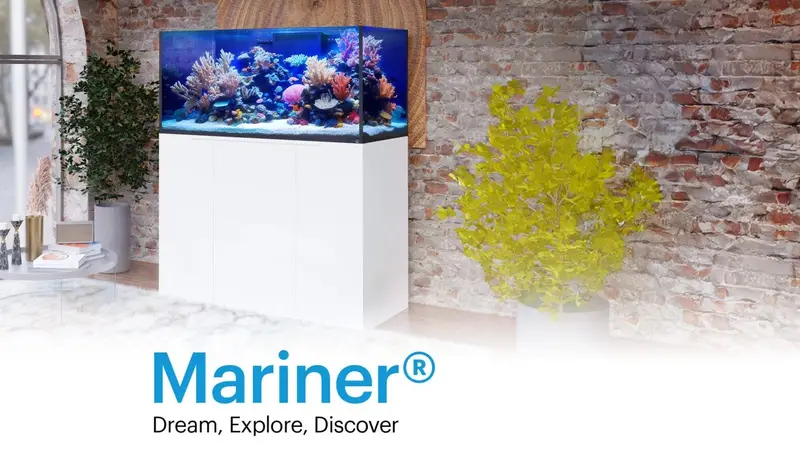 Southwest Reef Co LLC preview