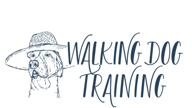 Walking Dog Training preview