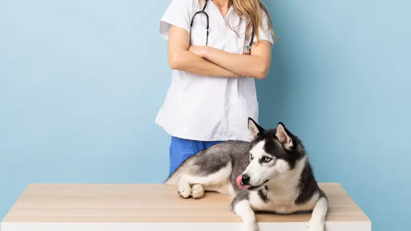 Advanced Animal Care of Colorado preview