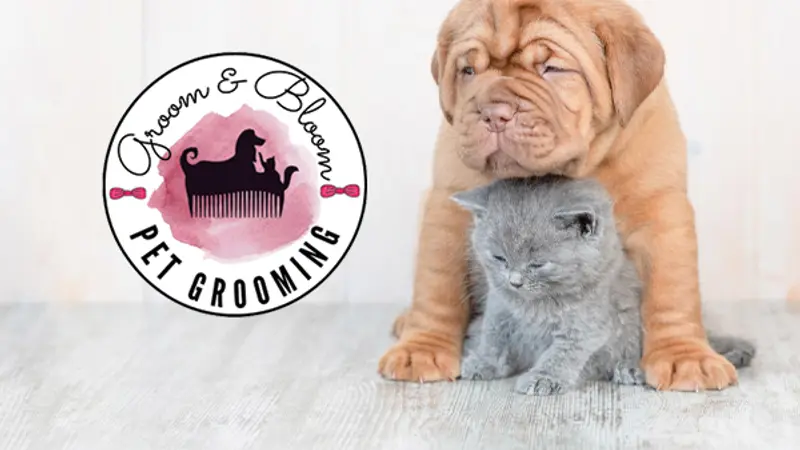 Groom & Bloom Pet Grooming preview