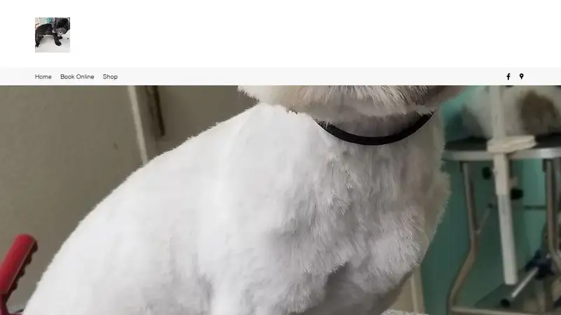 Noemi's Dog Grooming preview