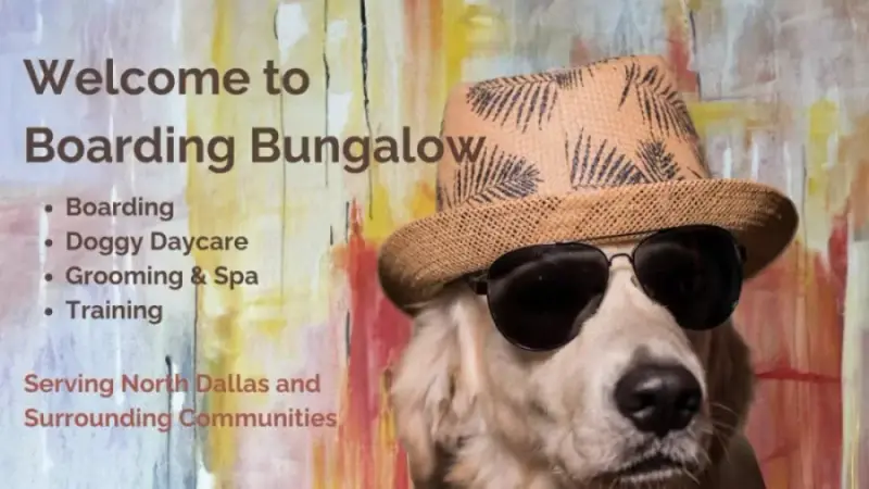 The Boarding Bungalow preview