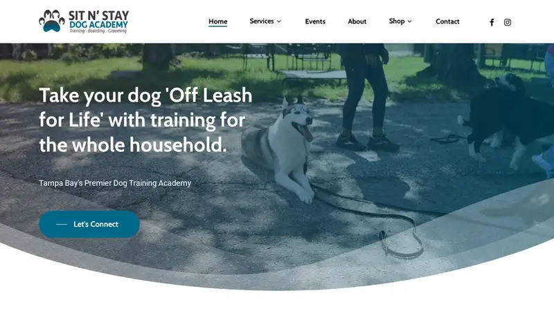 Inghram's Sit N Stay Dog Academy preview