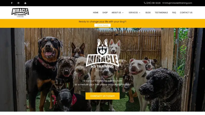 Miracle K9 Training preview