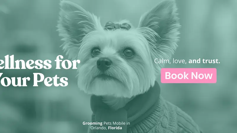 Relax Pets Spa Grooming preview