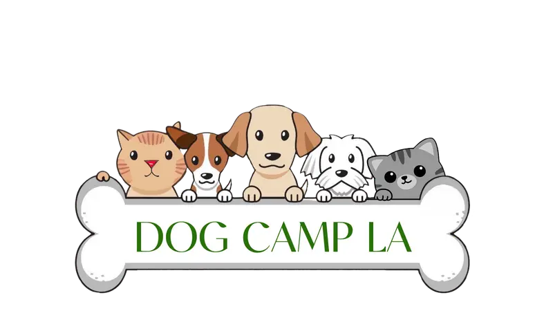 Dog Camp LA preview