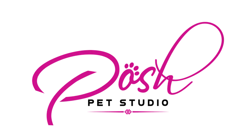 Posh Pet Studio preview
