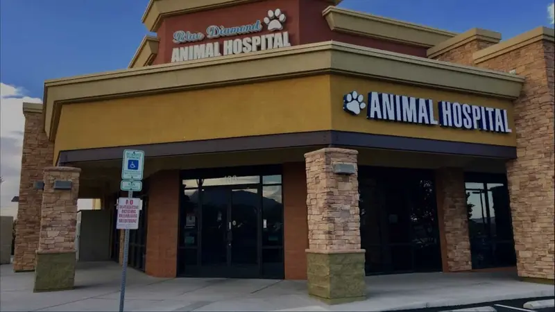 Blue Diamond Animal Hospital preview