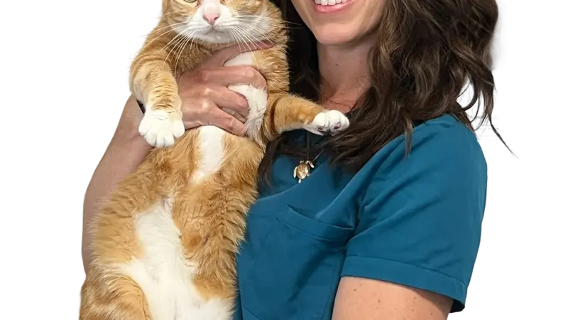 Michigan Street Animal Hospital preview