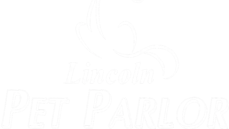 Lincoln Pet Parlor preview