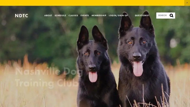 Nashville Dog Training Club preview