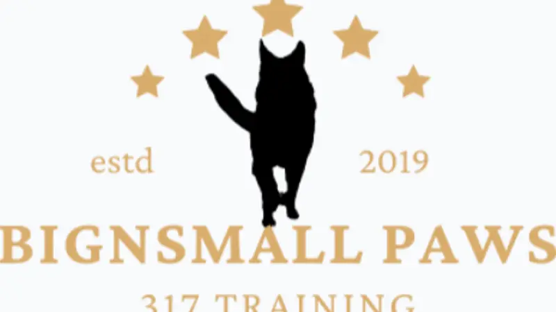 Big N' Small Paws 317 preview