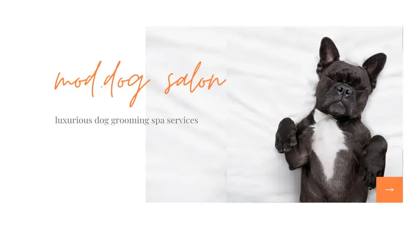Mod Dog preview