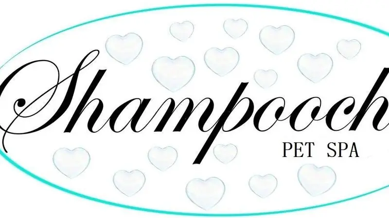 Shampooches Pet Spa LLC preview