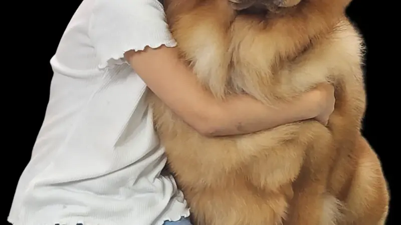 Affordable Pet Grooming preview
