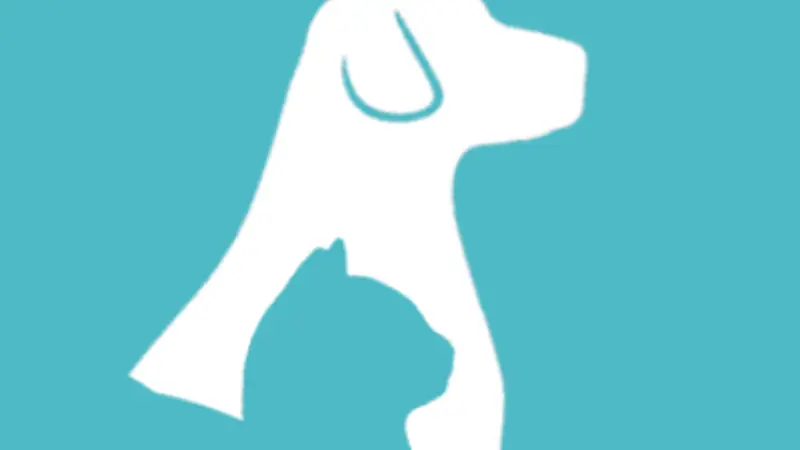 Planet Pet Spa preview
