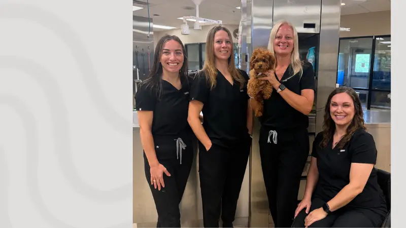 Memorial Road Pet Hospital preview